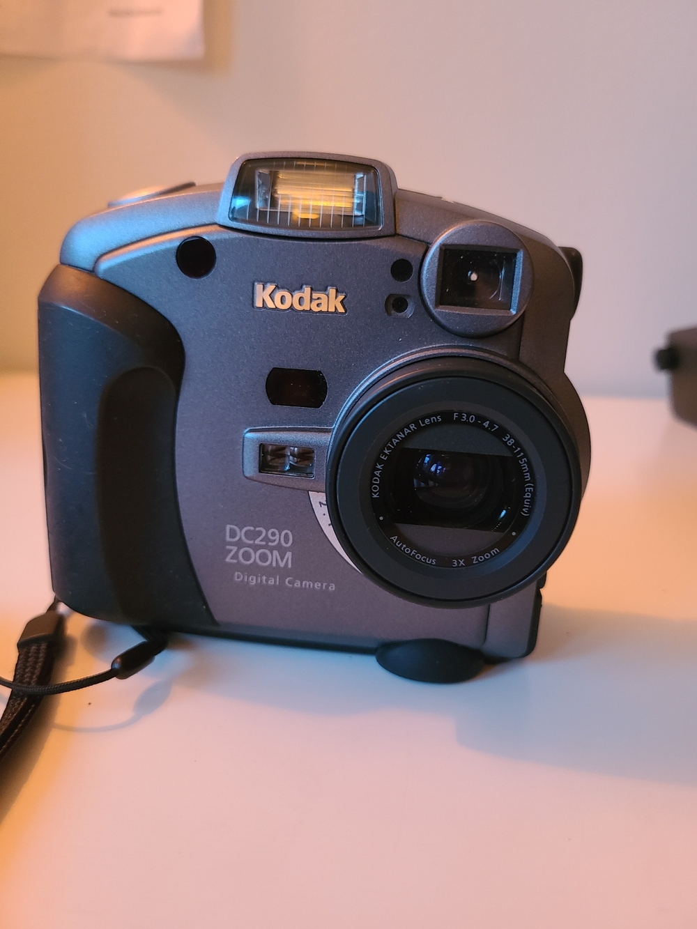 Kodak DC290 Zoom Digital Camera - Gray (untested)